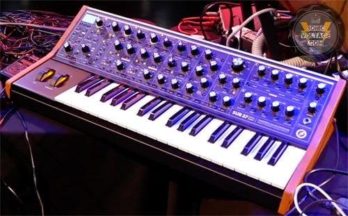 Wisdom Water Synth Music Live Moog Sub 37